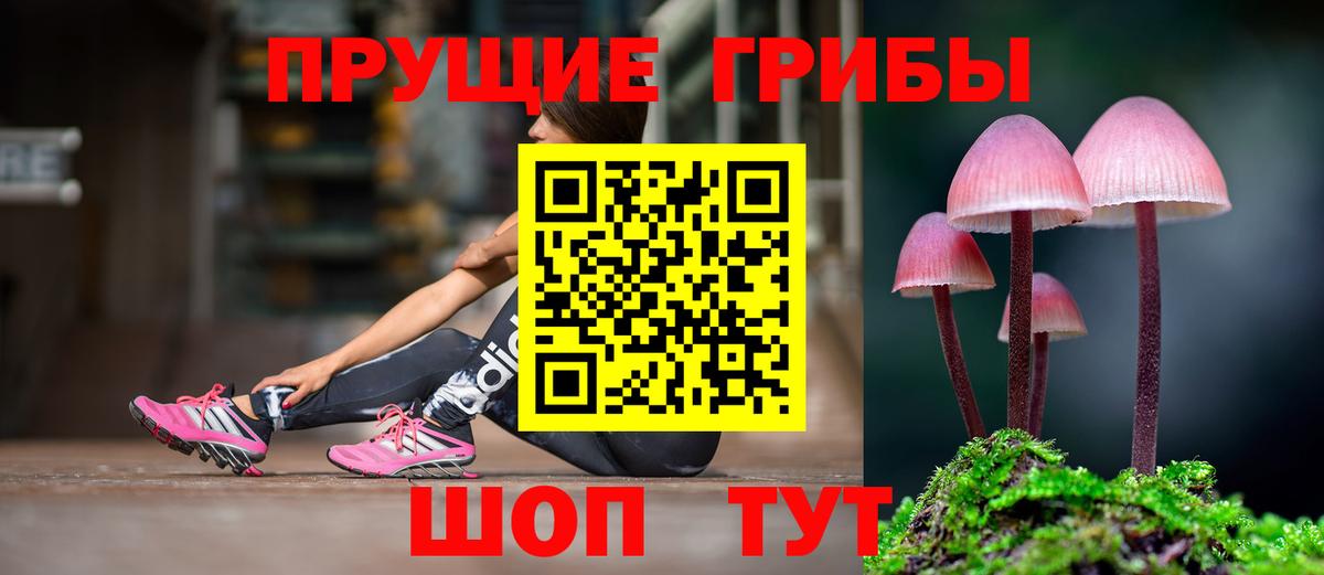 Белорецк  Псилоцибиновые грибы MAGIC MUSHROOMS  Галлюциногенные грибы Magic Shrooms  Вход с VPN 
